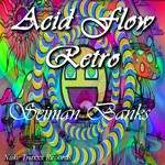 cover: Seiman Banks - Acid Flow Retro