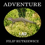 cover: Filip Rutkiewicz - Adventure