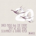 cover: Che Cherry|Maslo, David - Only We Will Know