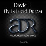 cover: David I - Fly In Lucid Dream