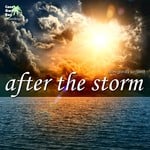 cover: Don Gorda Project - After The Storm