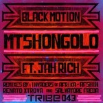 cover: Black Motion|Jah Rich - Mtshongolo