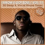 cover: Various - I Know U Got Soul Vol 11