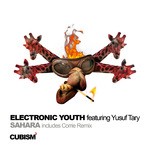 cover: Electronic Youth|Yusuf Tary - Sahara