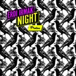 cover: Erdi Irmak - Night