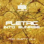 cover: Fletric - Into Sunrise (Too Dusty remix)