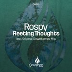 cover: Rospy - Fleeting Thoughts