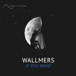 cover: Wallmers - If You Want