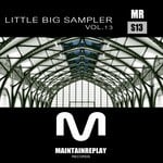 cover: Andy Peimbert|Dee, Matty|Gabha|High Decision|Stash Family - Little Big Sampler Vol 13