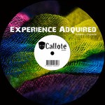 cover: Robben Cepeda - Experience Adquired