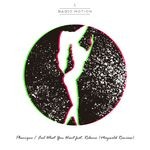 cover: Phonique|Rebecca - Feel What You Want (Maywald remixes)