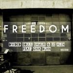 cover: Divided Souls|Gina Dunn|Le Alen|Samuri - Freedom