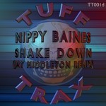 cover: Nippy Baines - Shake Down