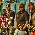 cover: Acoustic Fellaz - Essence Of LIfe