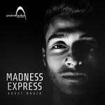 cover: Madness Express - About Brain