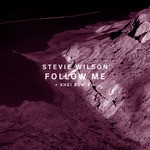 cover: Stevie Wilson - Follow Me