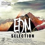 cover: Various - EDM Selection