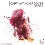 cover: Various - Captivating Grooves Vol 2