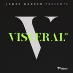 cover: Various - Visceral 029