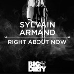 cover: Sylvain Armand - Right About Now