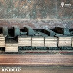 cover: Divideup - A Long Journey