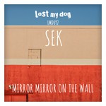 cover: Sek - Mirror Mirror On The Wall