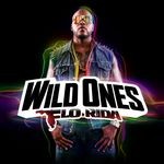 cover: Flo Rida - Wild Ones