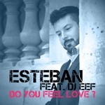 cover: Dj Eef|Esteban - Do You Feel Love?