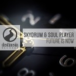 cover: Skydrum|Soul Player - Future Is Now