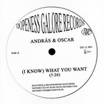 cover: Oscar|Andras - (I Know) What You Want