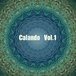 cover: Various - Calando Vol 1 Musica Elettronica