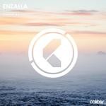 cover: Enzalla - Purity EP