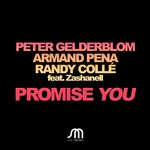 cover: Armand Pena|Gelderblom, Peter|Randy Colle|Zashanell - Promise You