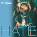 cover: The Delgados - Hate