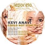 cover: Kevi Anavi - Could Not Stop It EP