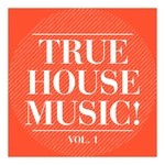 cover: Various - True House Music! Vol 1