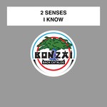 cover: 2 Senses - I Know