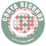 cover: Rawdio - Cloud Jumper