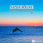 cover: Sinergie - Summer Afternoon Vol 1