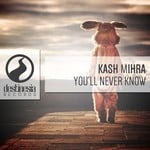 cover: Kash Mihra - You'll Never Know