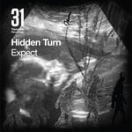 cover: Hidden Turn - Expect