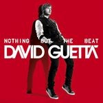 cover: David Guetta - Nothing But The Beat