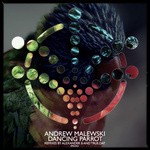 cover: Andrew Malewski - Dancing Parrot