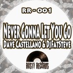 cover: Dave Castellano & Djfatsteve - Never Gonna Let You Go