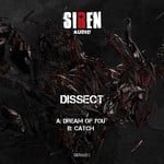 cover: Dissect - Dream Of You