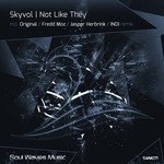 cover: Skyvol - Not Like They