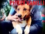 cover: Philly Vanilli - The Hot Brathendl Session