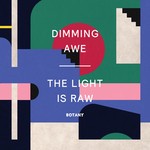 cover: Botany - Dimming Awe, The Light Is Raw