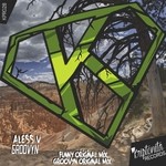 cover: Aless V - Groovyn