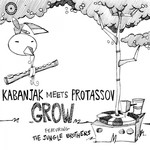 cover: The Jungle Brothers|Protassov|Kabanjak - Grow